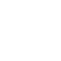 VIP Spins Casino Logo