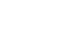 White Lion Casino