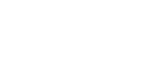 White Lion Casino Logo