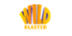 Wildblaster Casino