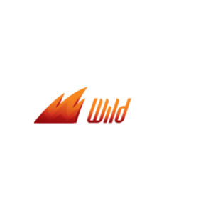 Онлайн-Казино WildSlots Logo