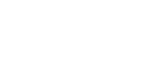 Wild Spins Casino Logo