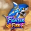 Fighter Fire