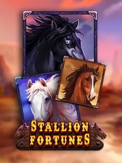 Stallion Fortunes