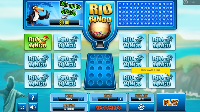 Rio Bingo.jpg