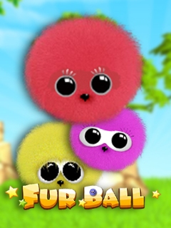 Fur Balls