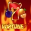 Fortune 27
