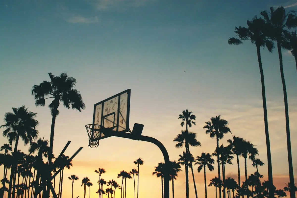 Basketball basket.