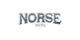 Norsewin Casino