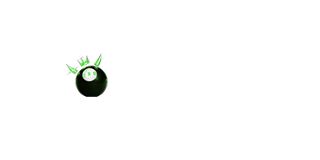 Bull Run Bets Casino Logo