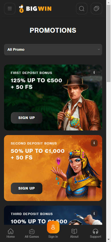 bigwin_casino_promotions_mobile