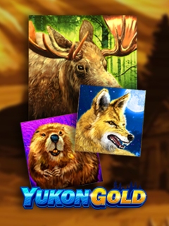 Yukon Gold