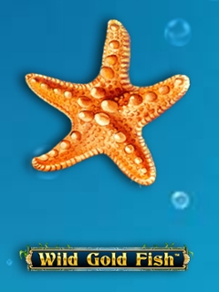 Wild Gold Fish