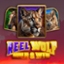 Reel Wolf