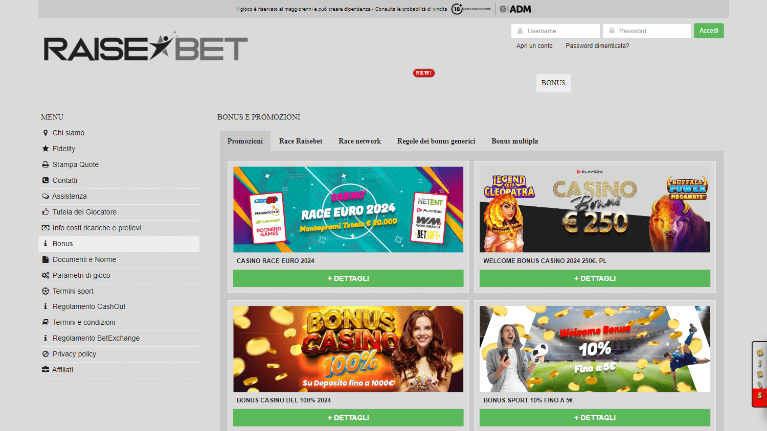 raisebet_casino_promotions_desktop