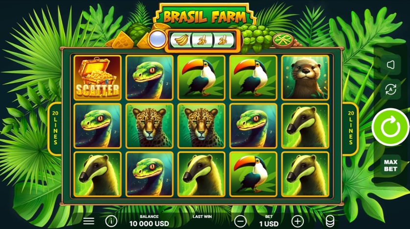 Brazil Farm.jpg