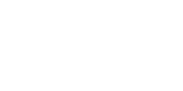 Spin and Bingo Casino Logo