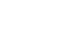 Spin and Bingo Casino Logo