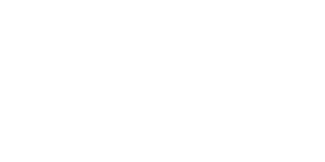 Vindstort.dk Casino Logo