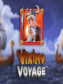 Viking Voyage