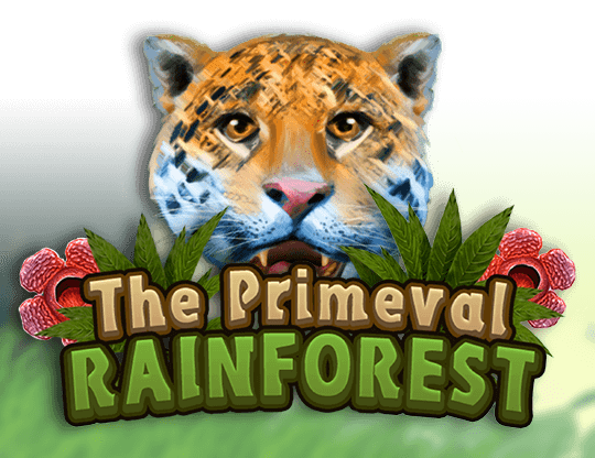 The Primeval Rainforest