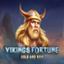 Vikings Fortune Hold and Win