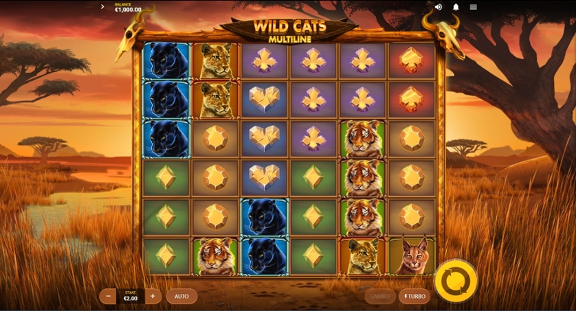 Wild Cats Multiline.jpg