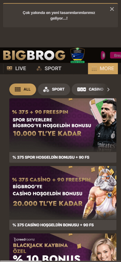 bigbrog_casino_promotions_mobile