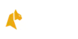 Felix Spin Casino