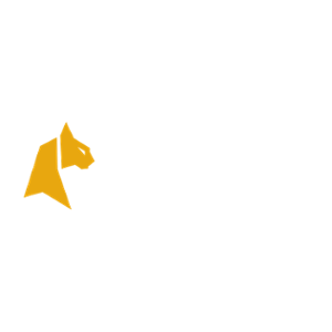 Felix Spin Casino Logo