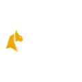 Felix Spin Casino Logo