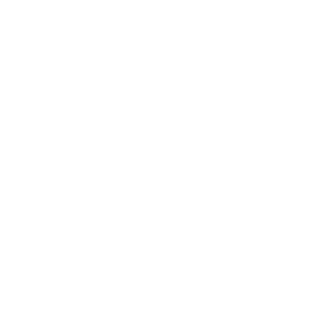 BetWarrior Casino Logo