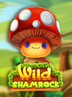 Wild Shamrock