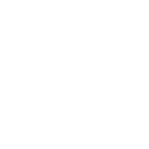 Casino Orca Logo