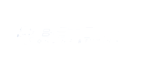 Betcity.net Casino Logo