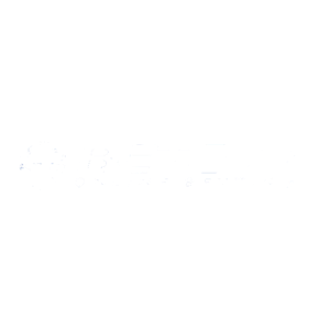 Betcity.net Casino Logo
