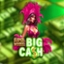 Big Cash Super Wheel