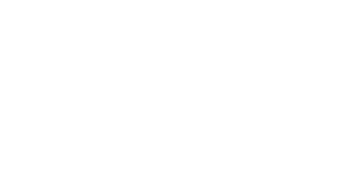 MrPunter Casino Logo