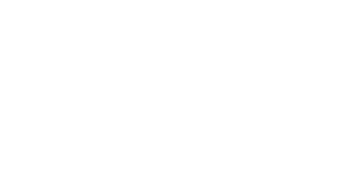 MrPunter Casino logo