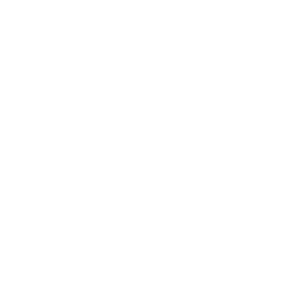 MrPunter Casino Logo