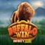 Buffalo Win