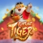 Fortune Tiger