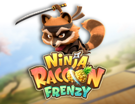 Ninja Raccoon Frenzy