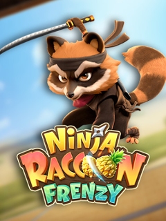 Ninja Raccoon Frenzy