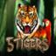 5 Tigers
