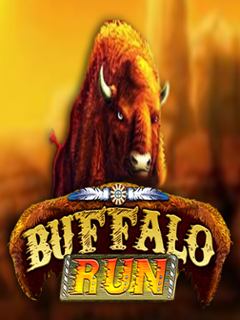 Buffalo Run