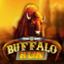 Buffalo Run