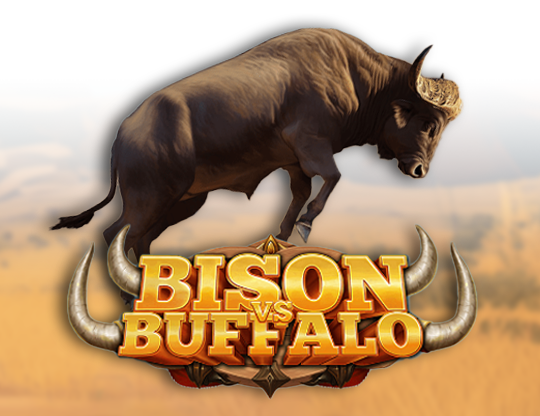 Bison vs Buffalo