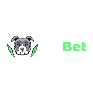 Pit Bet Casino Logo